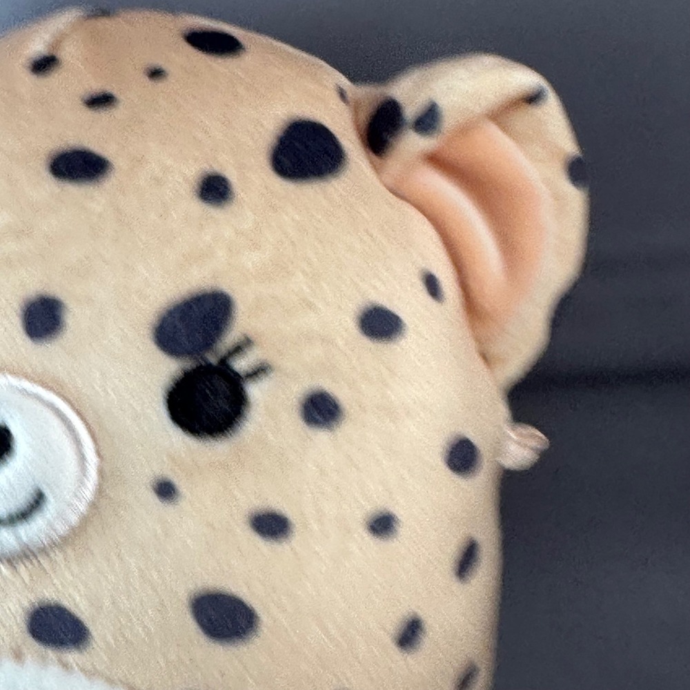 Squishmallows Lexie the Cheetah 5" Tan Spotted Plush Stuffed Animal 2024 - Picture 3 of 8